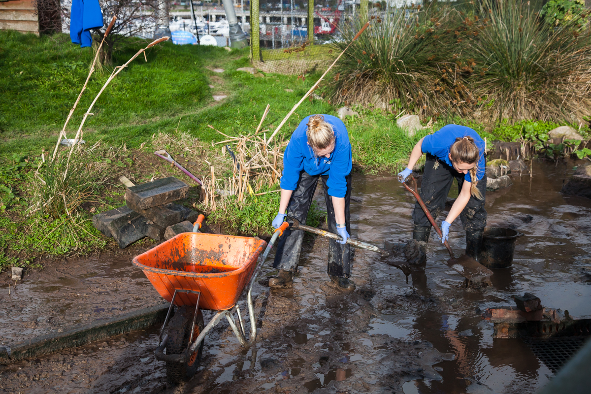 A preSpring Clean The Exeter Daily